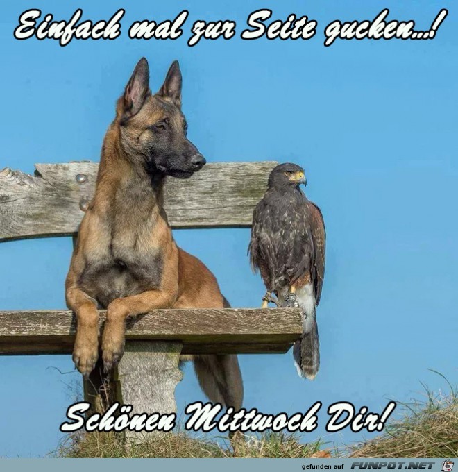 Mittwoch Mittwoch