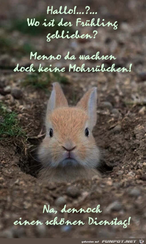 Dienstag Dienstag