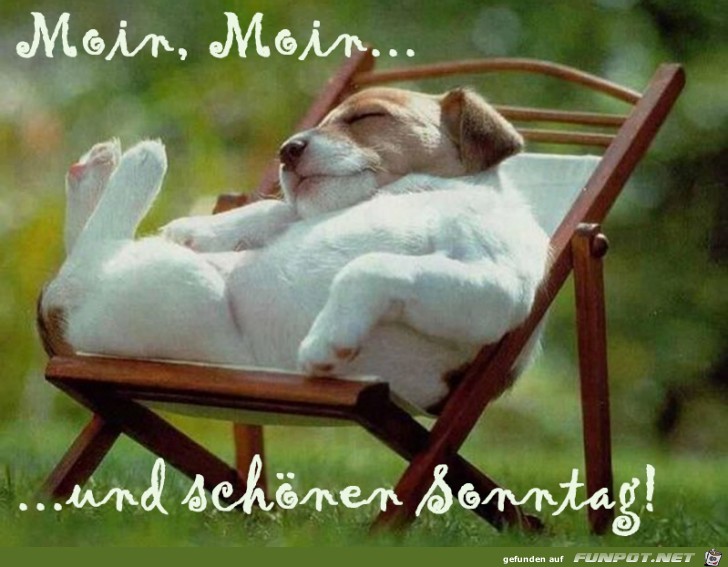 Sonntag Sonntag