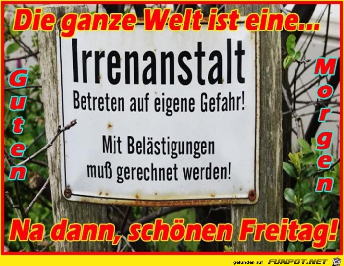 Freitag Freitag