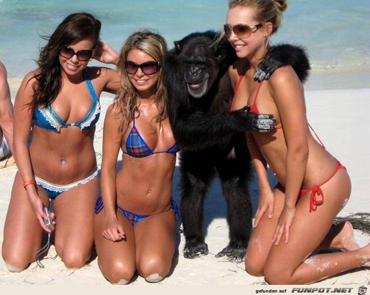 Gruppenbild mit Affe