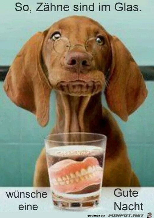 Zähne sind im Glas... Zähne sind im Glas...