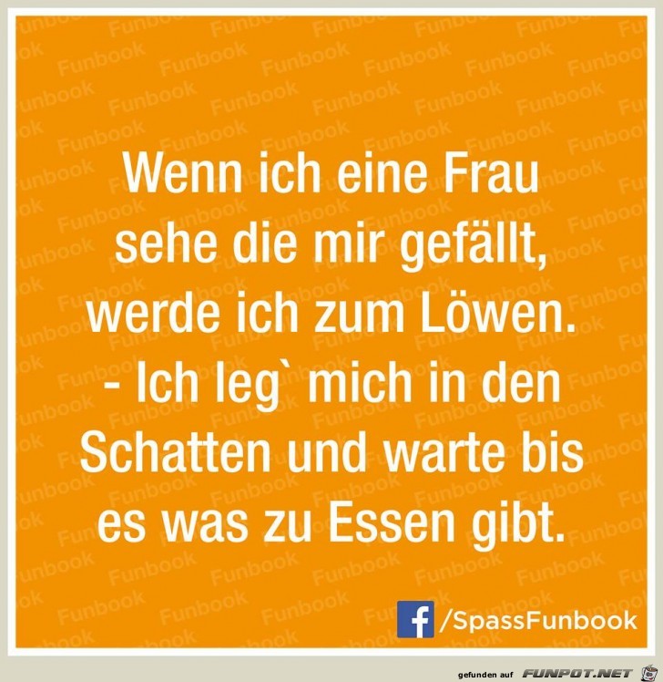 Wenn eine Frau mir gefällt Wenn eine Frau mir gefällt