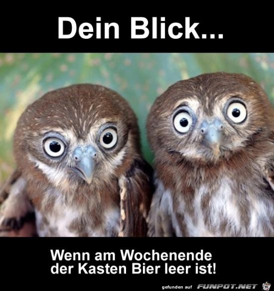 dein Blick..