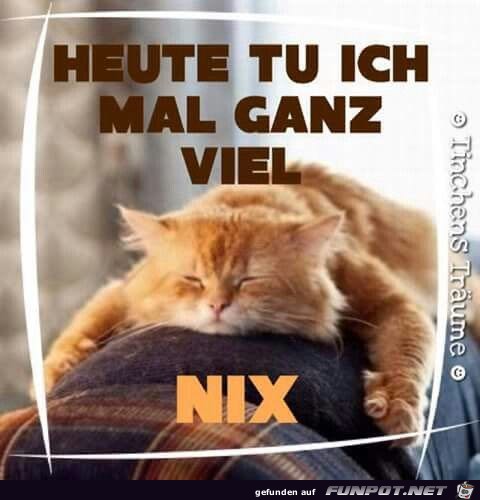 Ganz viel nix