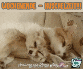 Kuschelzeit Kuschelzeit