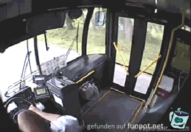 Schwarzfahrer Schwarzfahrer