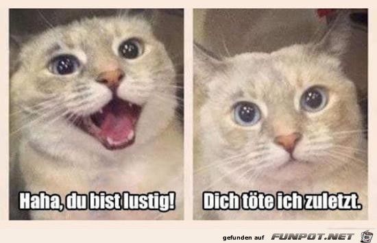 Jetzt weißt du Bescheid Jetzt weißt du Bescheid