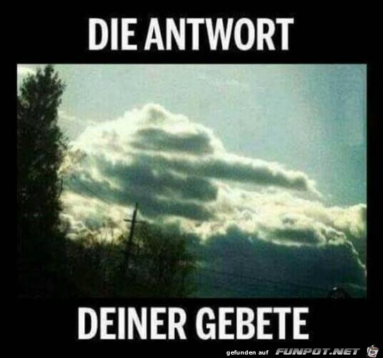 die Antwort deiner Gebete... die Antwort deiner Gebete...