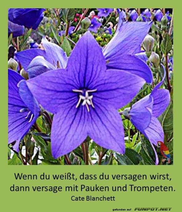 Wenn du wei sst