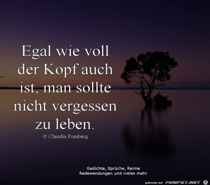 Egal Egal