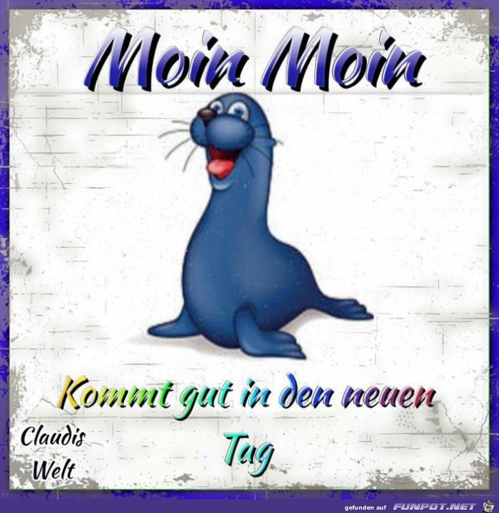 Moin Moin