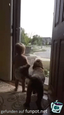 Freude pur Freude pur