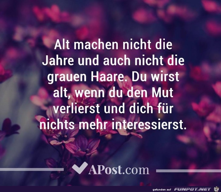 Du wirst alt Du wirst alt