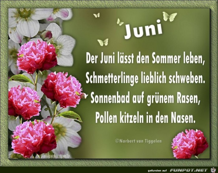 Juni, der Sommer beginnt