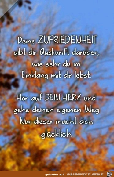 Deine Zufriedenheit Deine Zufriedenheit