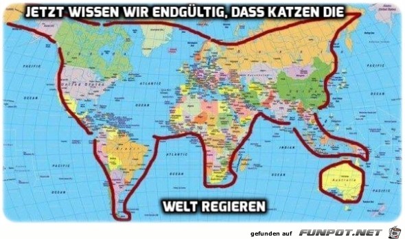 Katzen