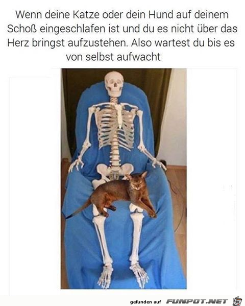 Zu lange gewartet