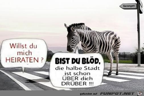 Willst du mich heiraten Willst du mich heiraten