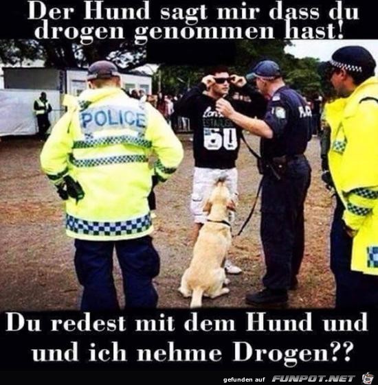Der Hund Der Hund