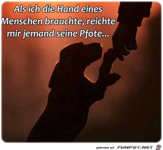 Hand Hand