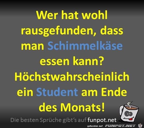 Schimmelkäse Schimmelkäse