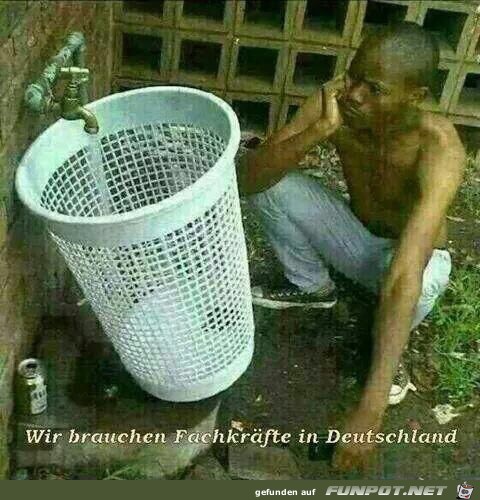 er wartet bis die Tonne voll ist !!!!!! er wartet bis die Tonne voll ist !!!!!!