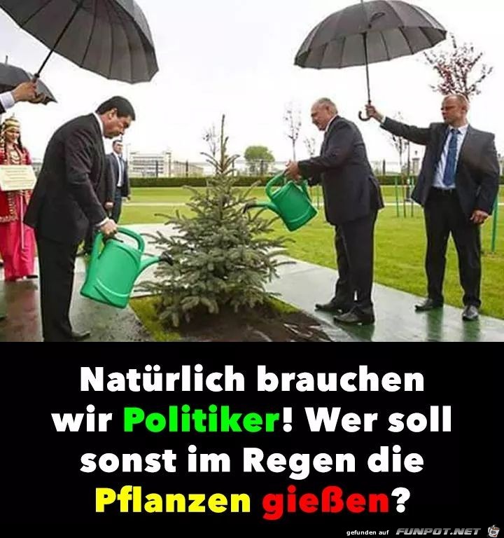 Natürlich brauchen wir Politiker !!!! Natürlich brauchen wir Politiker !!!!