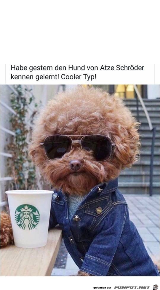 Coooler Typ Coooler Typ