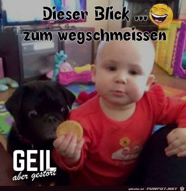 Dieser Blick