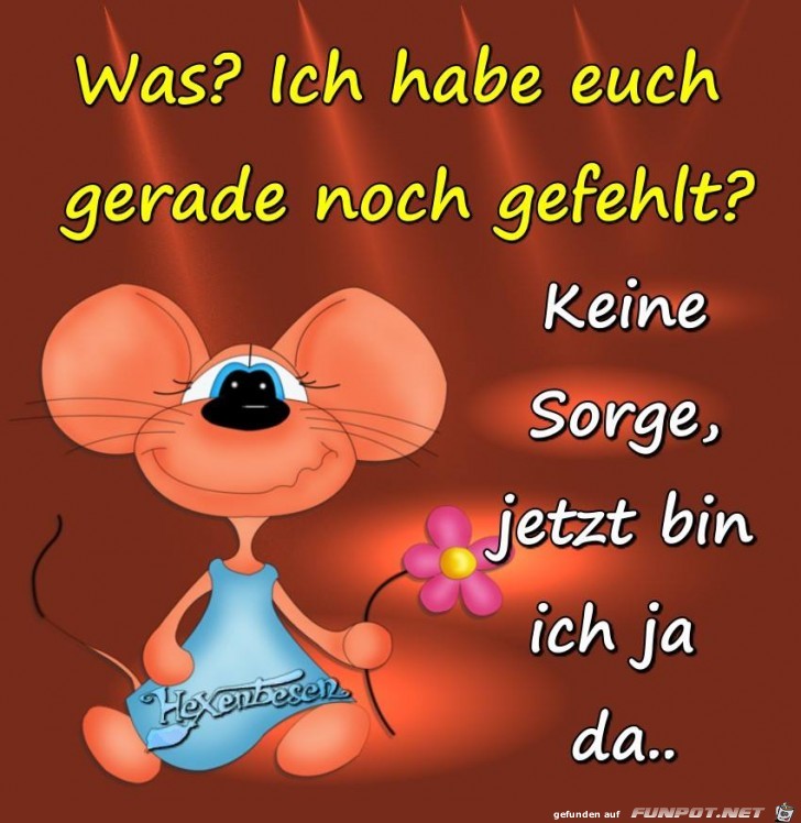 Was Was