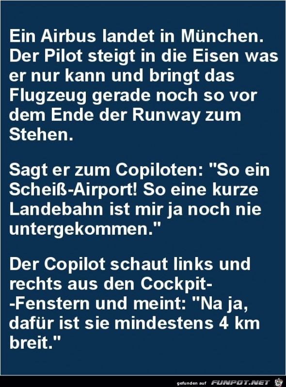 ein Airbus landet in Mnchen.......