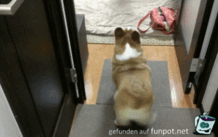 Das ist Freude Das ist Freude