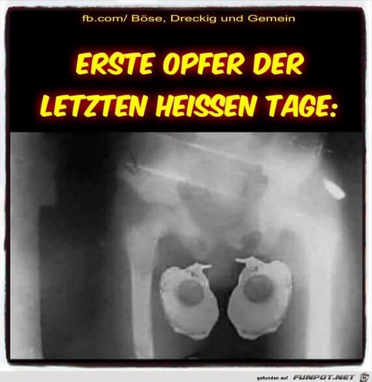 Erste Opfer der heissen Tage Erste Opfer der heissen Tage
