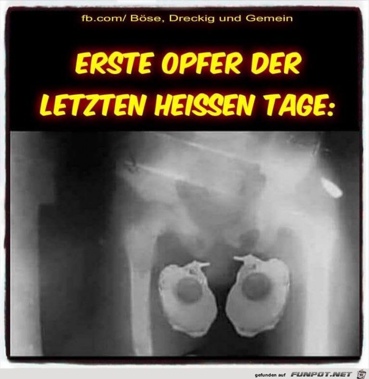 Erste Opfer der heissen Tage