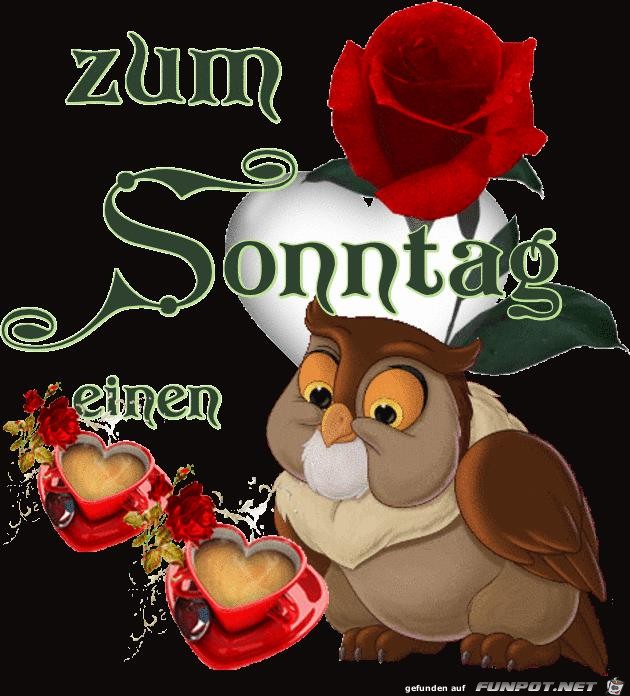 Zum Sonntag