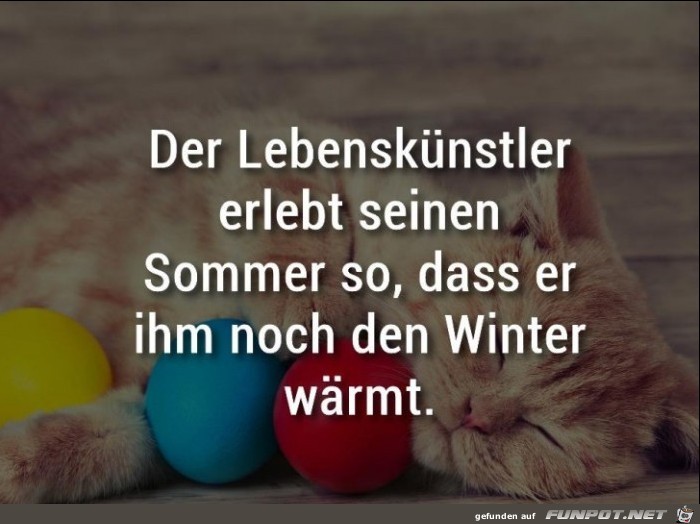 Lebenskuenstler Lebenskuenstler