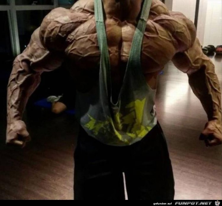 Bodybuilding3 Bodybuilding3