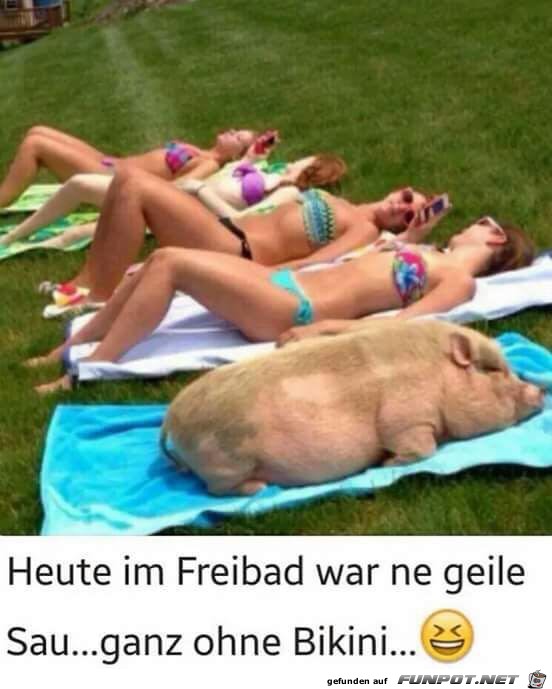 Heute im Freibad Heute im Freibad