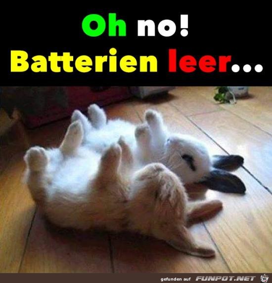 Batterien sind leer