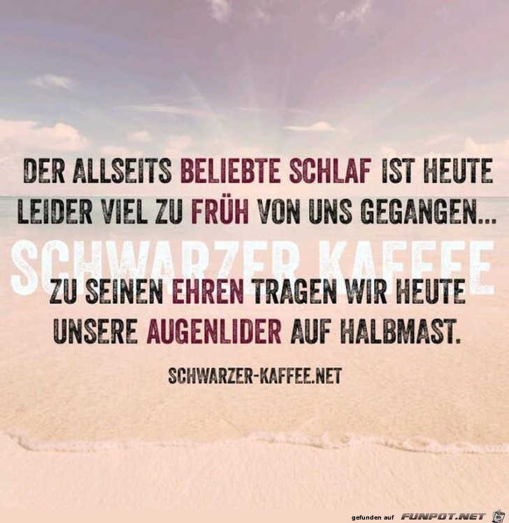 Schlaf Schlaf