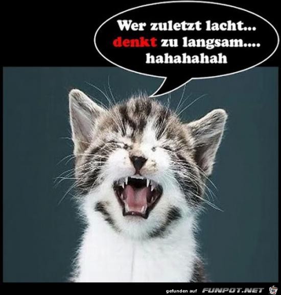 Wer zuletzt lacht Wer zuletzt lacht