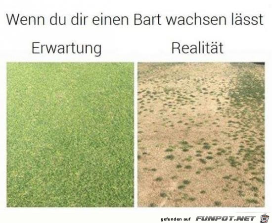 Bart wachsen lassen Bart wachsen lassen
