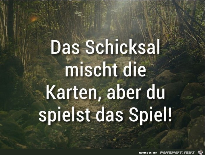 Das Schicksal