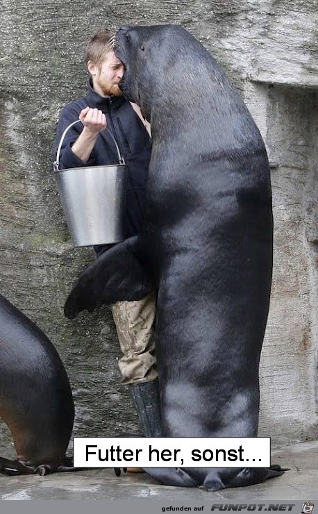 Futter her, sonst... Futter her, sonst...