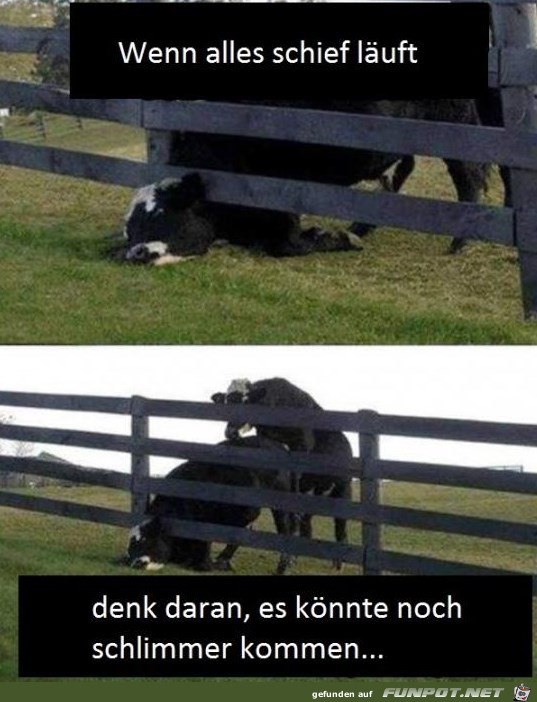 es koennte noch schlimmer kommen es koennte noch schlimmer kommen
