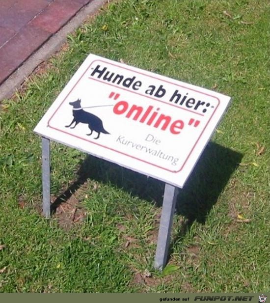Online Online