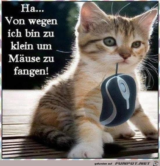 Von wegen zu klein Von wegen zu klein