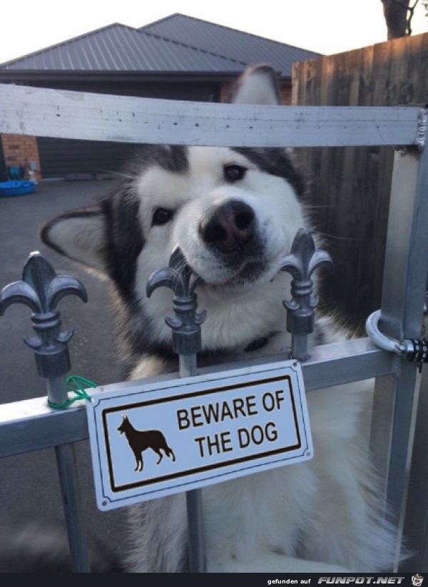 Sehr gefährlicher Hund Sehr gefährlicher Hund