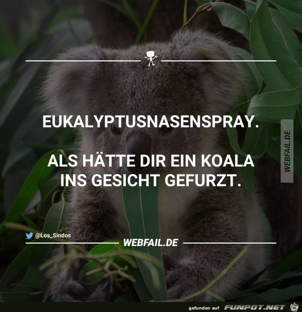 Eukalyptus-Nasenspray